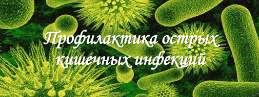 Профилактика острых кишечных инфекций