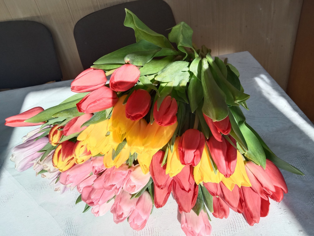 изображение_viber_2023-03-10_08-14-12-308.jpg